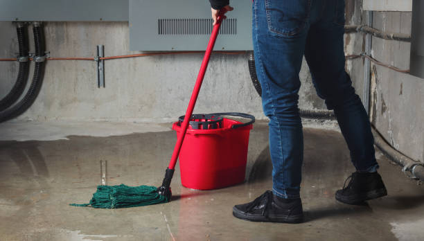 Best Mold removal after water damage  in Orient, NY
