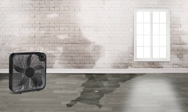 Local water damage restoration in Orient, NY