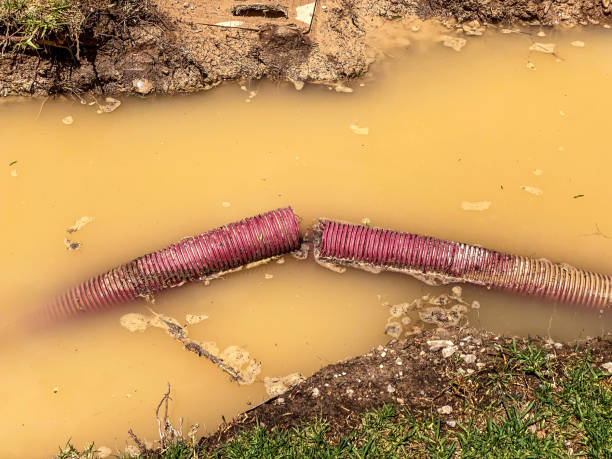 Sewage cleanup and water damage restoration in Orient, NY