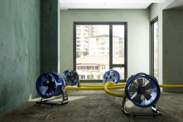 Best Water damage restoration near me  in Orient, NY